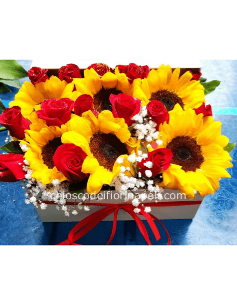 Scatola Raggio d’Amore basic