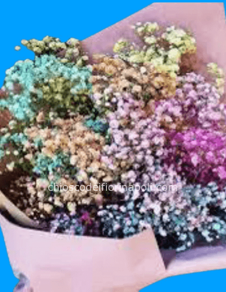 Sogno Colorato .Piccolo