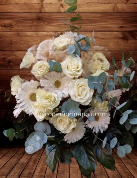 Candido abbraccio . Basic