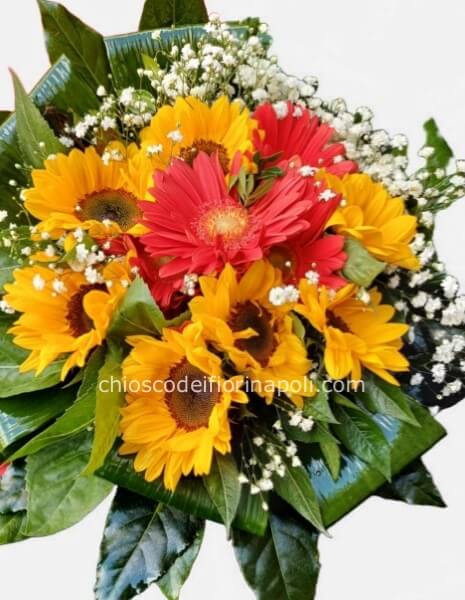 Sole e passione base