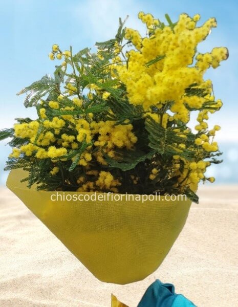 Fascio di mimose