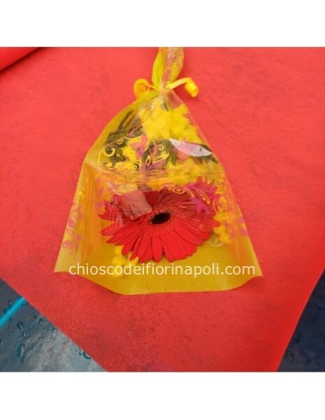 Bustina gerbera mimosa