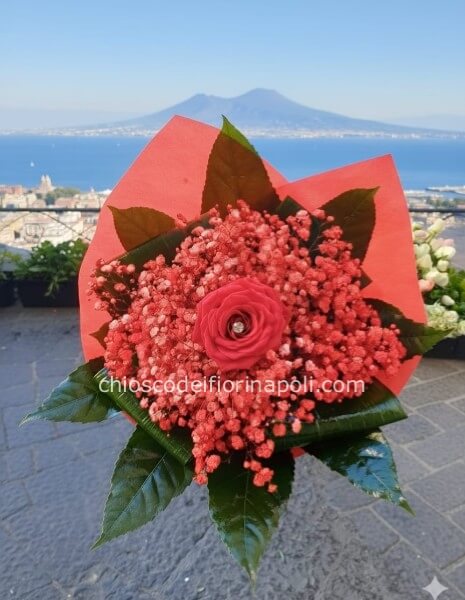 Cuore di fuoco piccolo