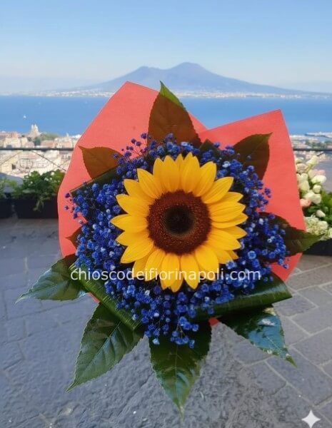 Blu vesuvio