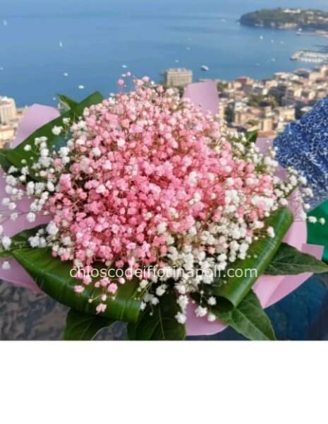 Nuvola d’Amore. Piccolo