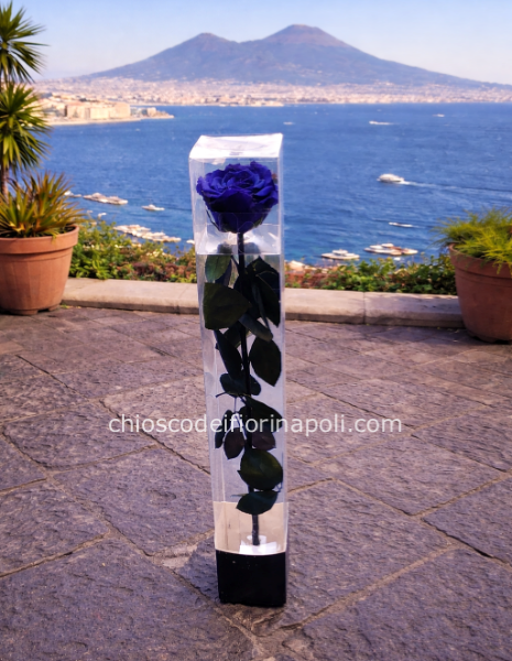 Rosa blu stabilizzata