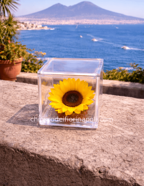 Girasole stabilizzato