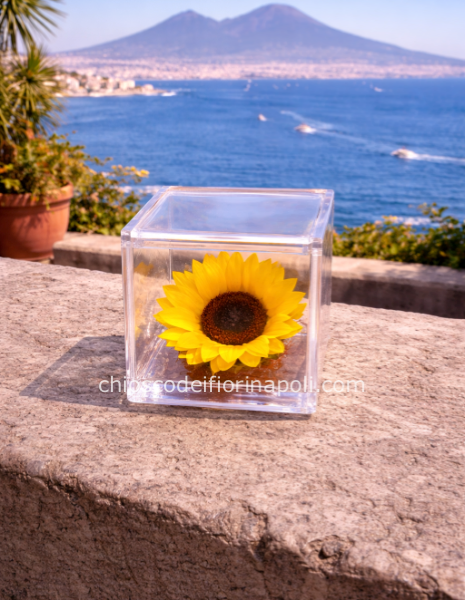 Girasole stabilizzato