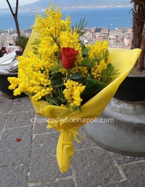 Fascio Mimosa & Passione