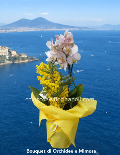 Piantina di orchidee e mimose