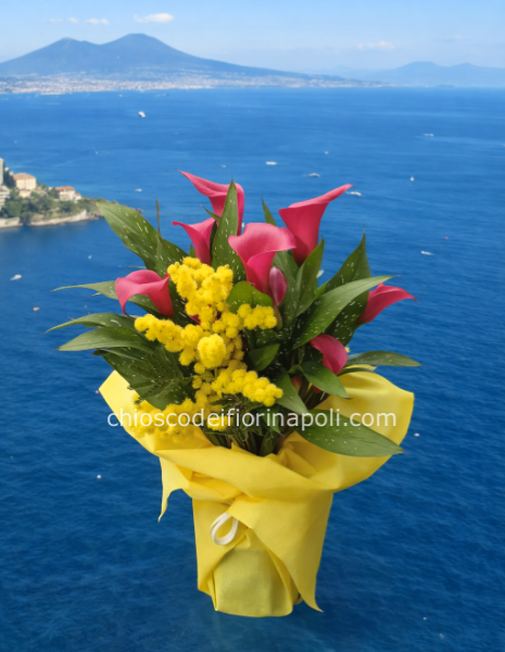 	 Pianta Calla & Mimosa