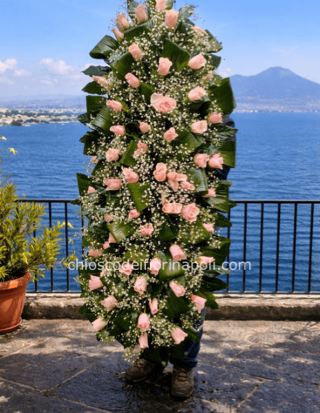 Rosa del Ricordo Classico
