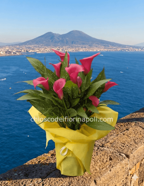 Sogno di Calle