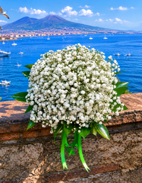 Promessa Bianca