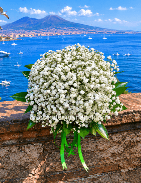 Promessa Bianca