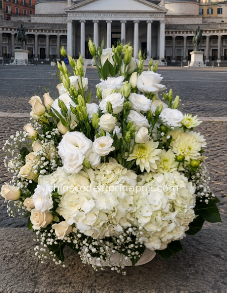 Eleganza Pontificia