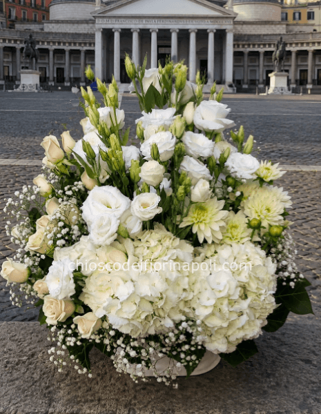Eleganza Pontificia