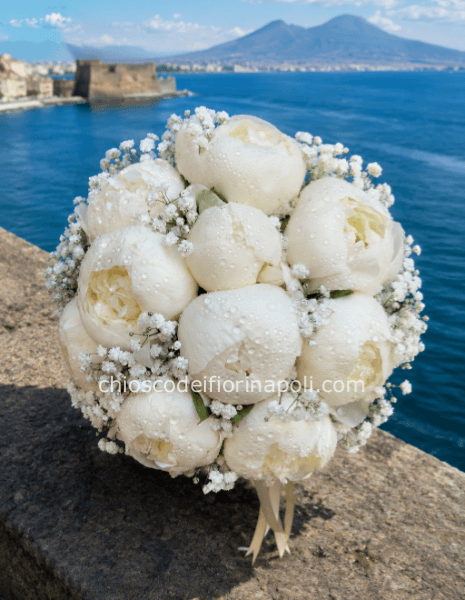 Sogno di Peonie