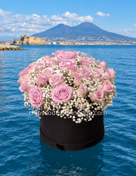 Rosa Velata